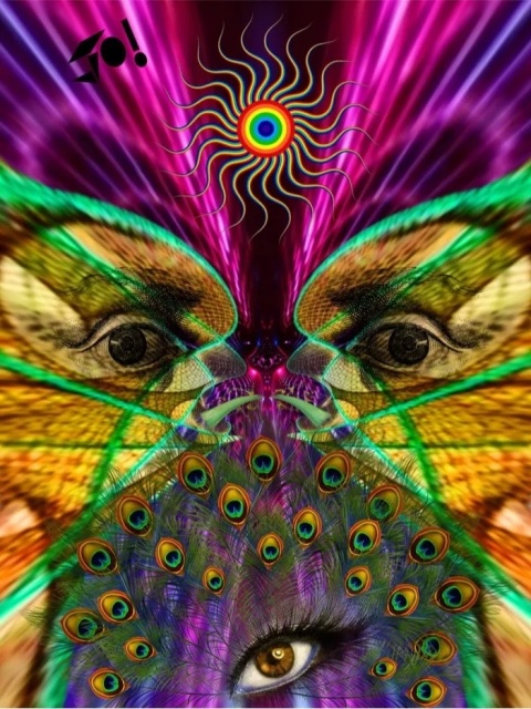 Duży plakat 70x100 surrealistyczny psychodeliczny neonowy kolaż paw oczy – ARGUS
