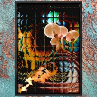 OBSERWATORIUM – plakat w czarnej ramie 50 × 70 cm | Pan Starszy