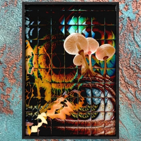 Plakat w ramie 50x70 surrealistyczny psychodeliczny kolaż motyw oka grzybki – OBSERWATORIUM