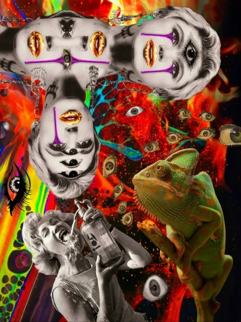 Duży plakat 70x100 surrealistyczny psychodeliczny kolaż kameleon vintage oczy – OKO DUSZY